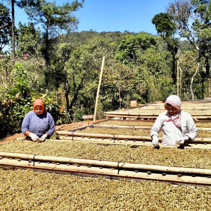 Friends of the Farmer with Bopanna I B - Sampigehalla Estate + Masterclass on Espresso and Pour-Over Brewing